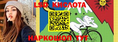 spice Владимир
