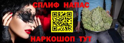 spice Владимир
