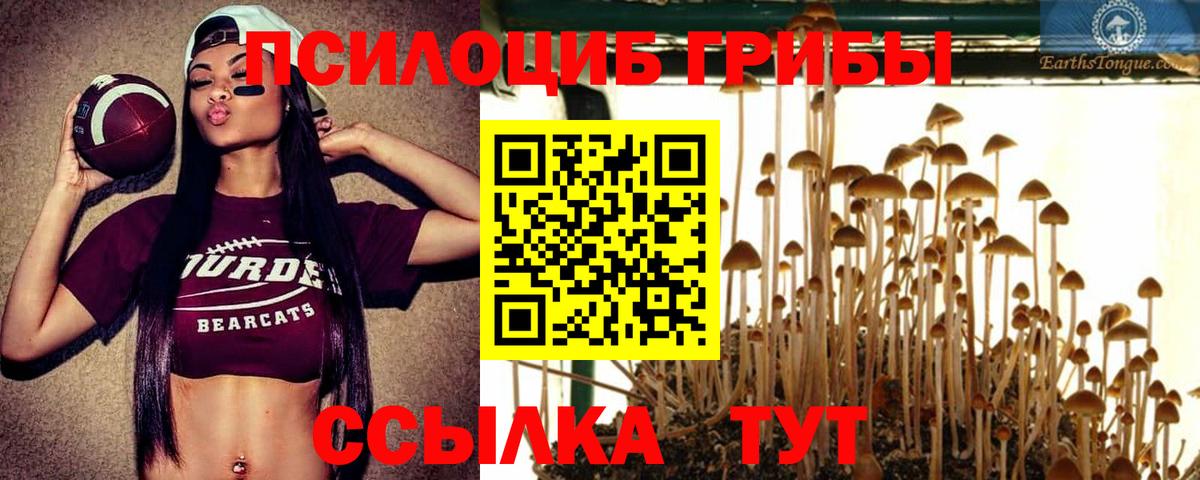 Псилоцибиновые грибы прущие грибы Алушта